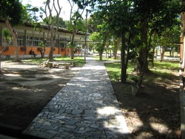 Eleições para a Direção do ICHCA