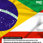 Pesquisa interinstitucional desenvolvida no Peru busca alinhar produção tecnológica às demandas sociais e ambientais da atualidade